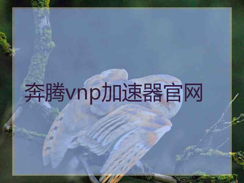 奔腾vnp加速器官网