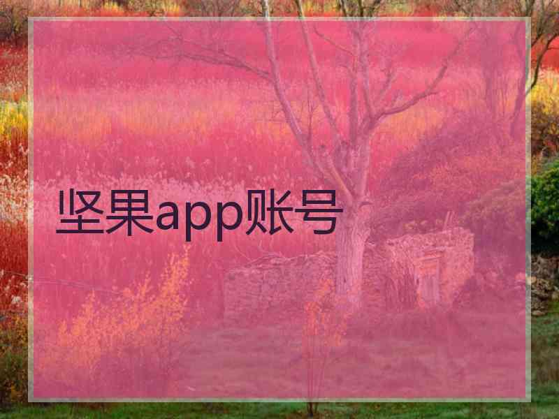 坚果app账号