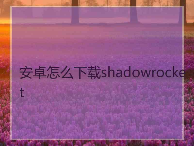 安卓怎么下载shadowrocket