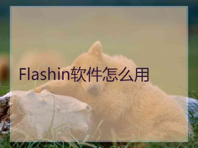 Flashin软件怎么用