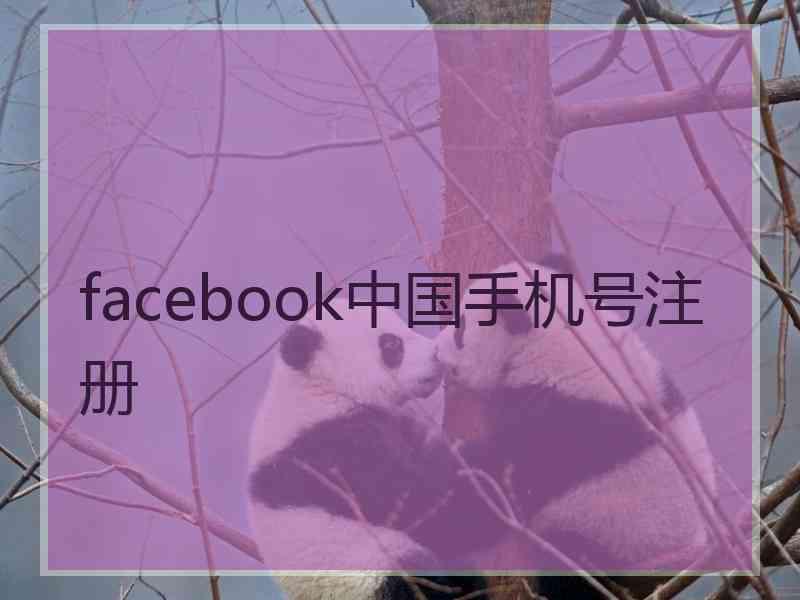 facebook中国手机号注册