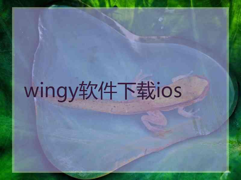 wingy软件下载ios