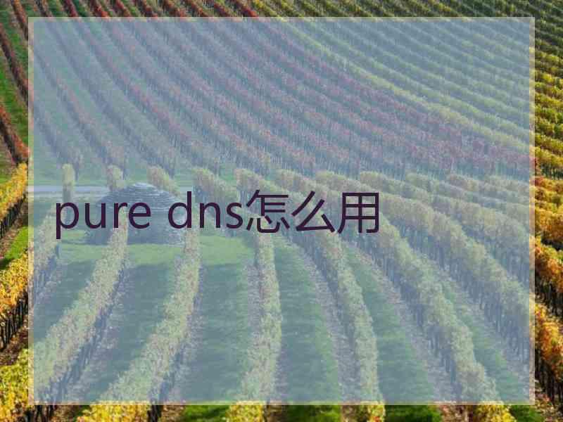 pure dns怎么用