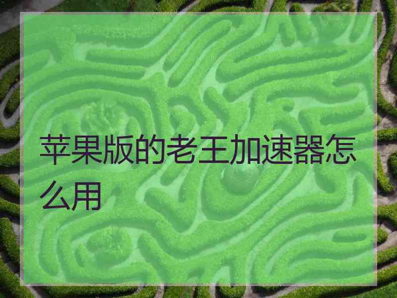 苹果版的老王加速器怎么用