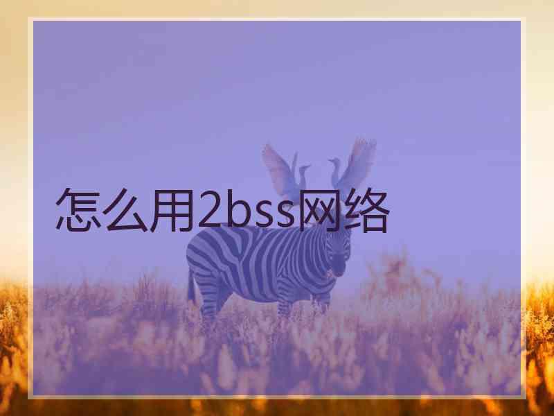 怎么用2bss网络