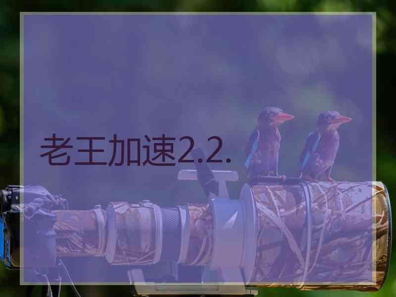 老王加速2.2.