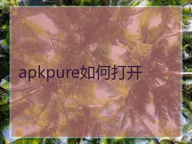 apkpure如何打开