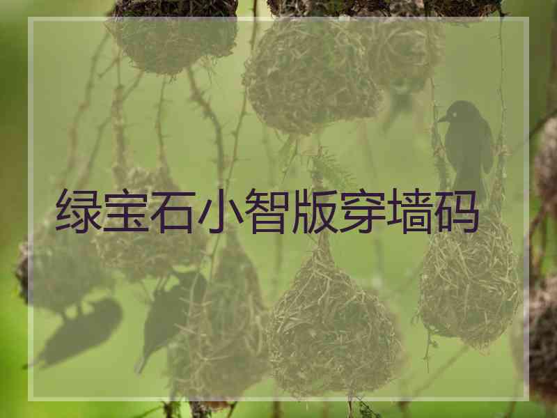 绿宝石小智版穿墙码