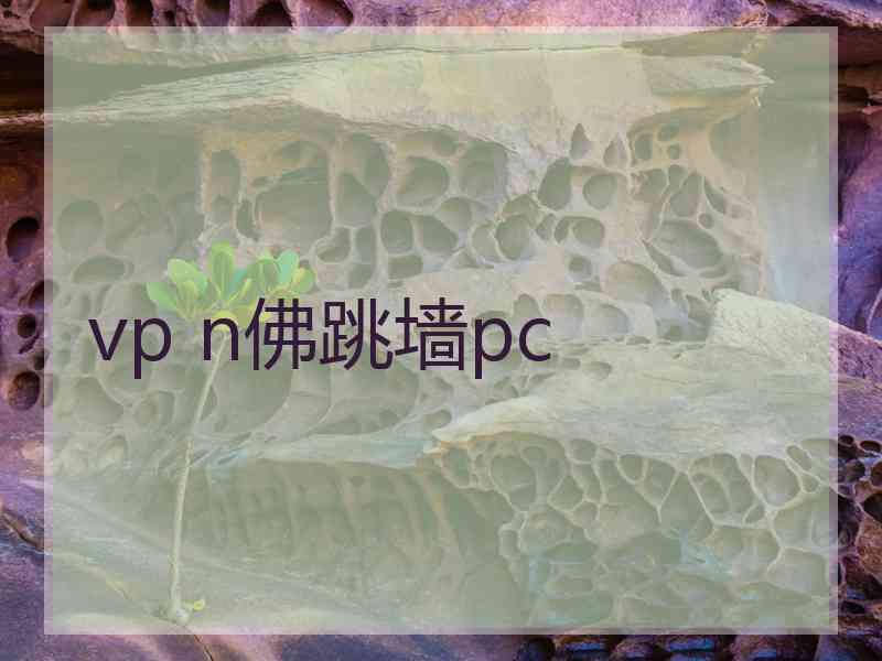 vp n佛跳墙pc