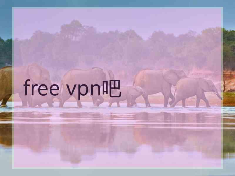 free vpn吧