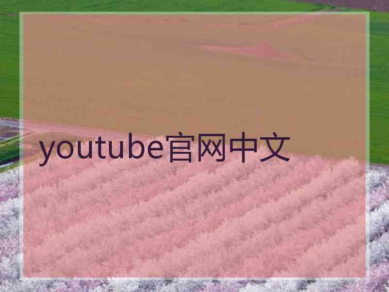 youtube官网中文