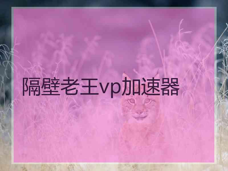 隔壁老王vp加速器