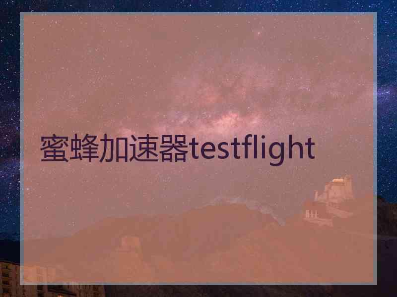 蜜蜂加速器testflight