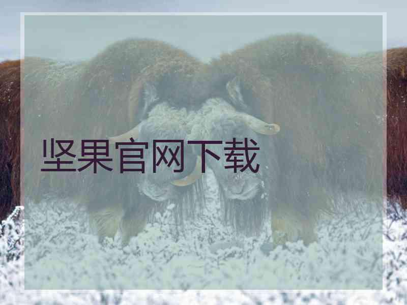 坚果官网下载