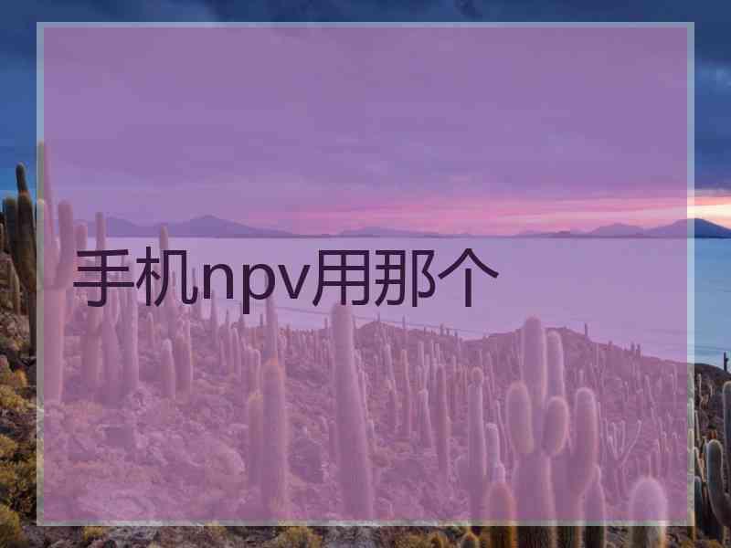 手机npv用那个