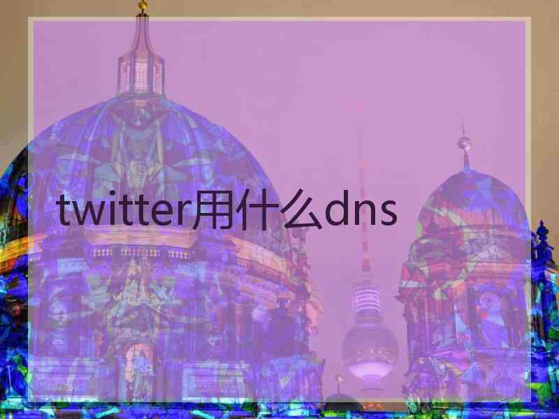 twitter用什么dns