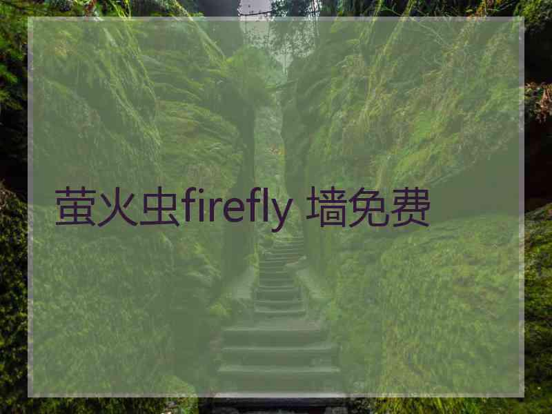 萤火虫firefly 墙免费