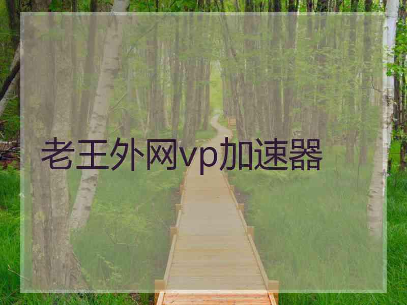 老王外网vp加速器