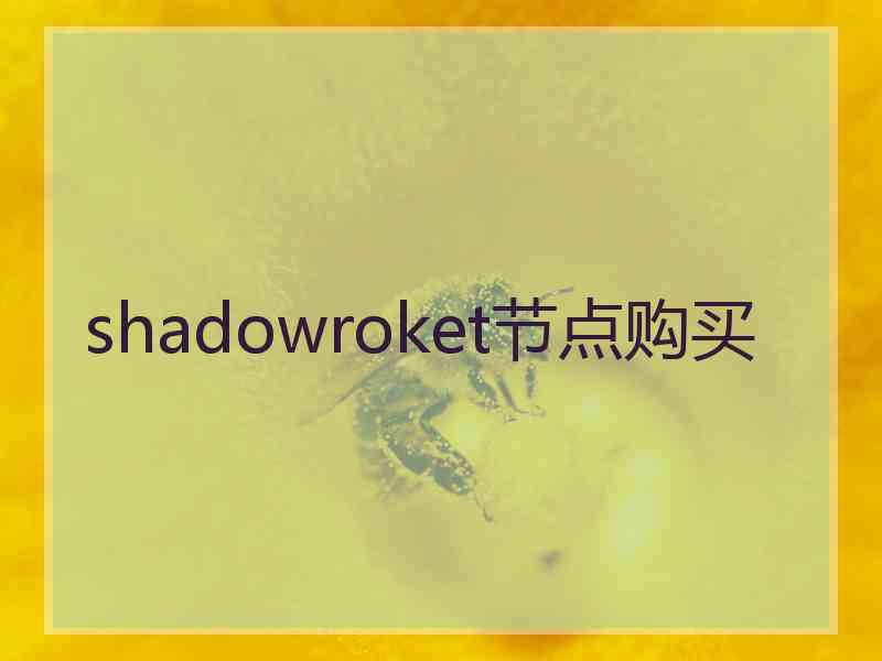 shadowroket节点购买