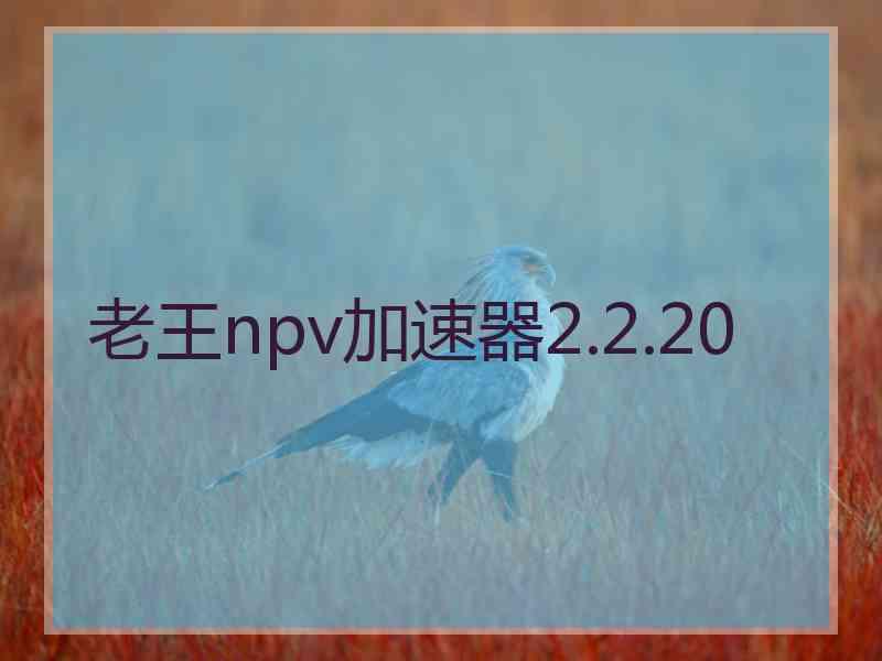 老王npv加速器2.2.20