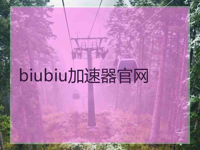 biubiu加速器官网