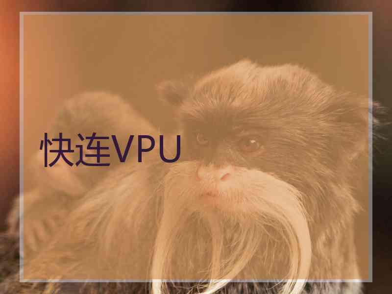 快连VPU