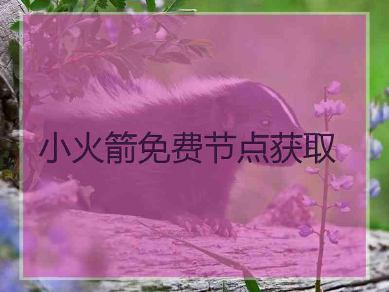 小火箭免费节点获取