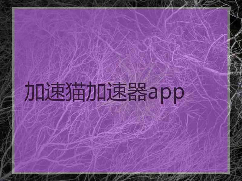 加速猫加速器app