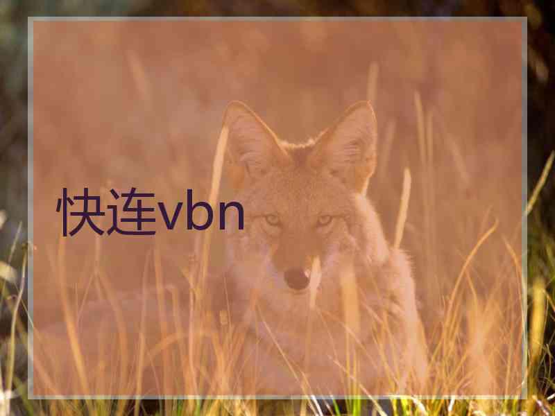 快连vbn