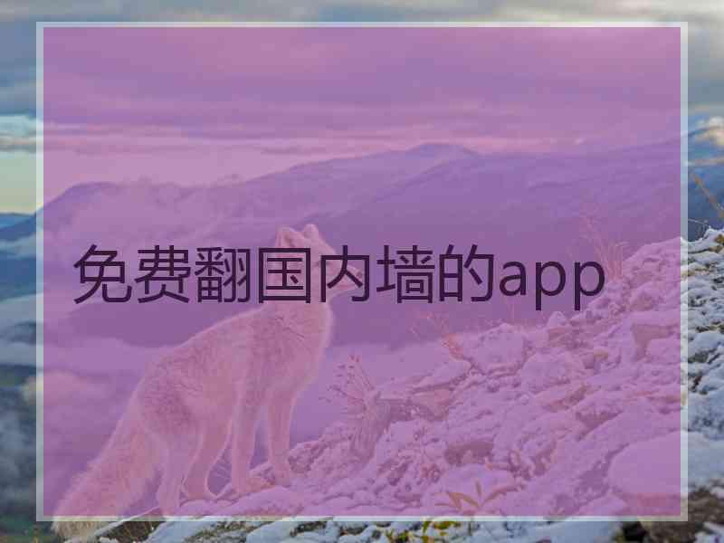 免费翻国内墙的app