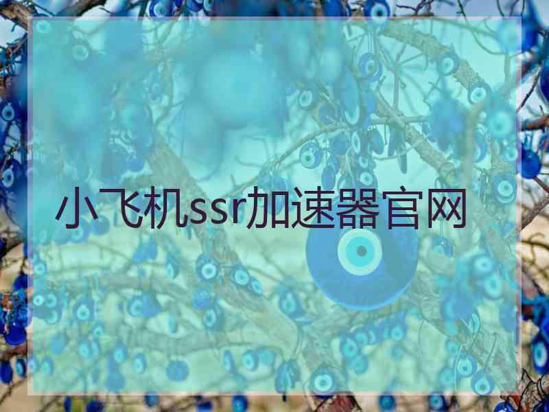 小飞机ssr加速器官网