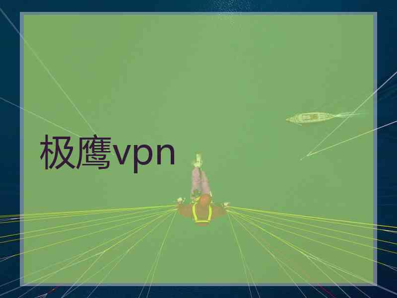 极鹰vpn