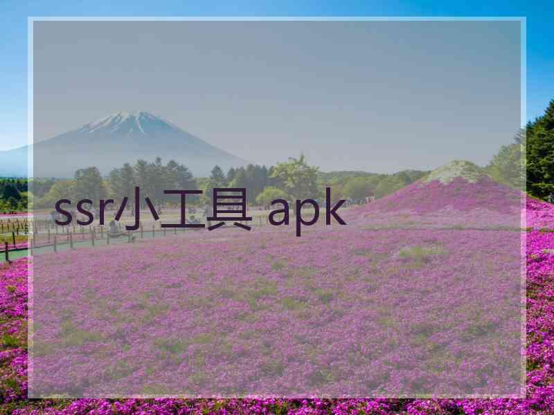 ssr小工具 apk