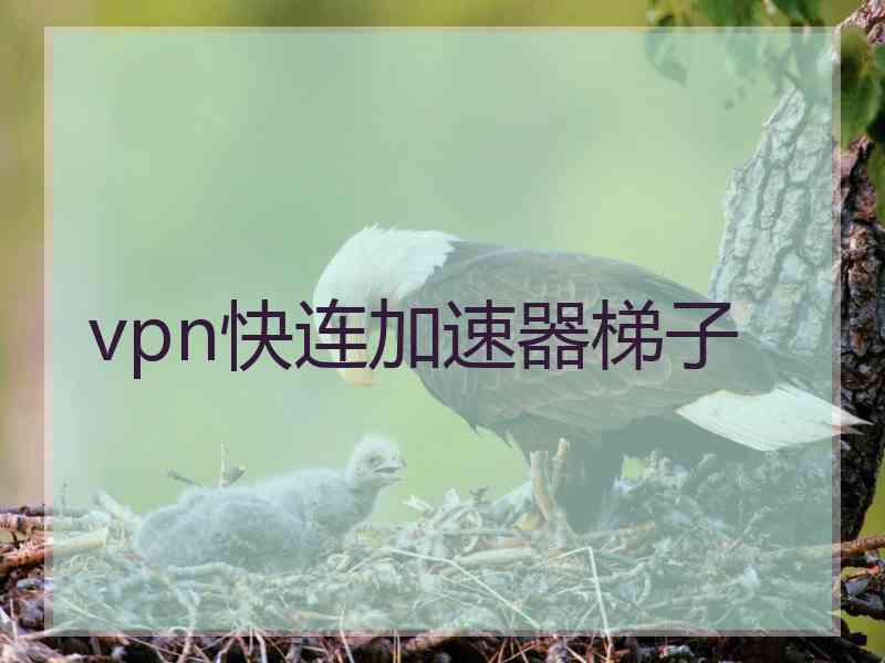 vpn快连加速器梯子