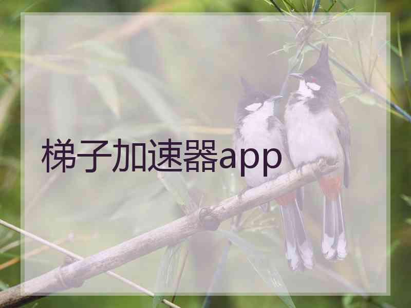 梯子加速器app