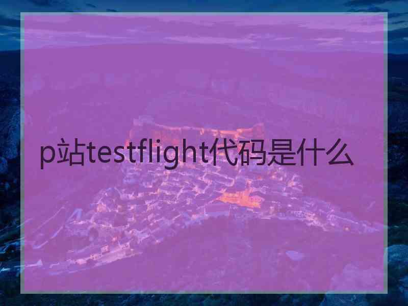 p站testflight代码是什么