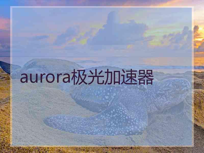 aurora极光加速器