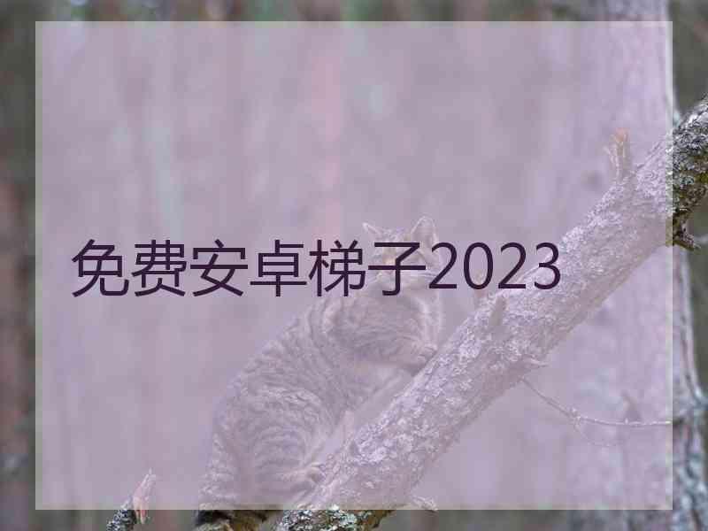 免费安卓梯子2023