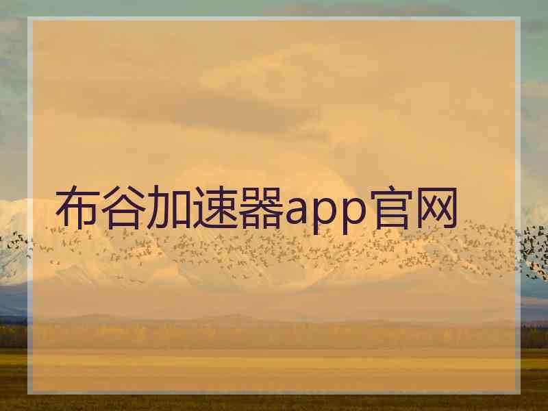 布谷加速器app官网