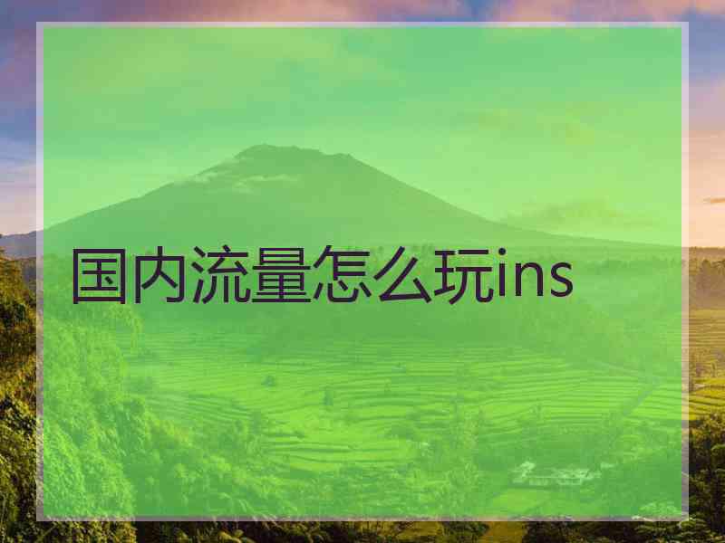 国内流量怎么玩ins