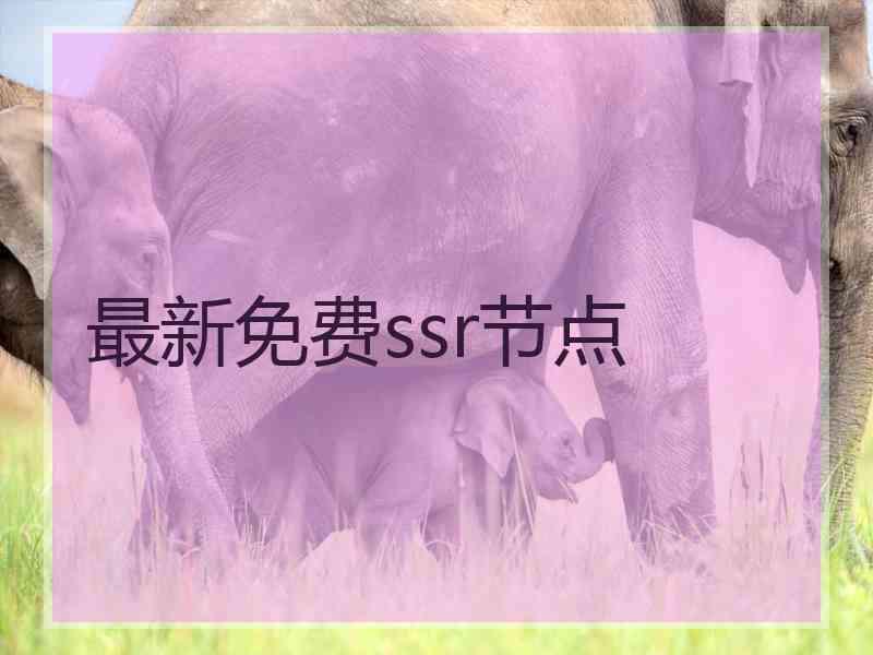 最新免费ssr节点