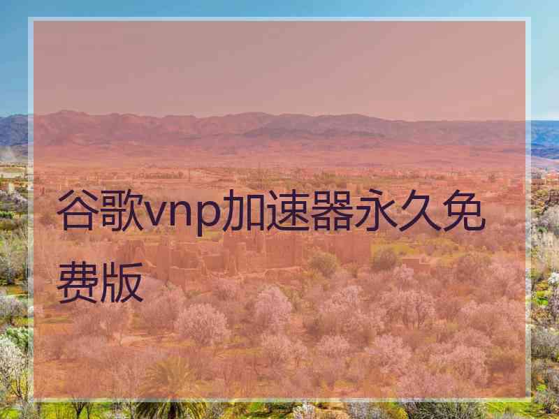 谷歌vnp加速器永久免费版