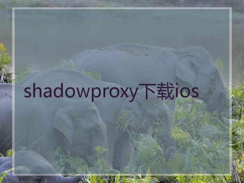 shadowproxy下载ios