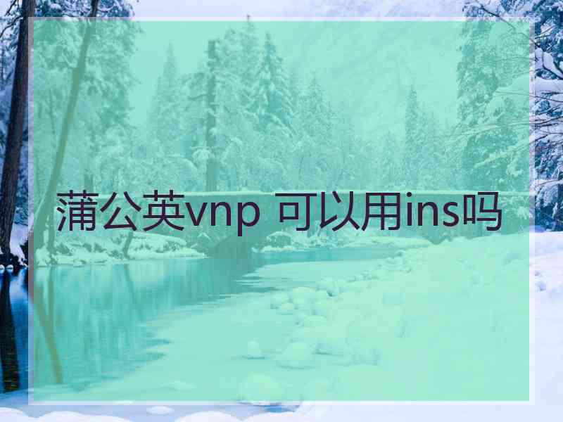 蒲公英vnp 可以用ins吗