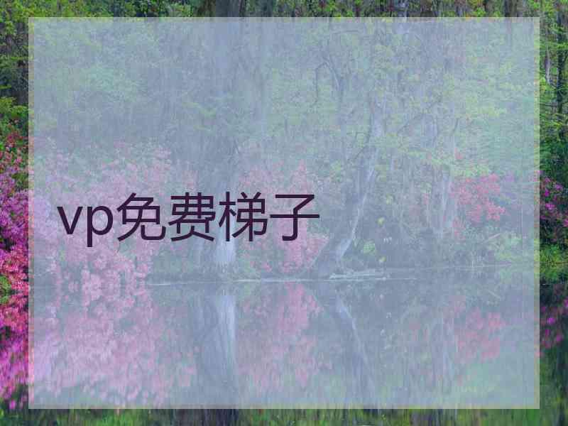 vp免费梯子