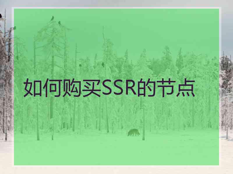 如何购买SSR的节点