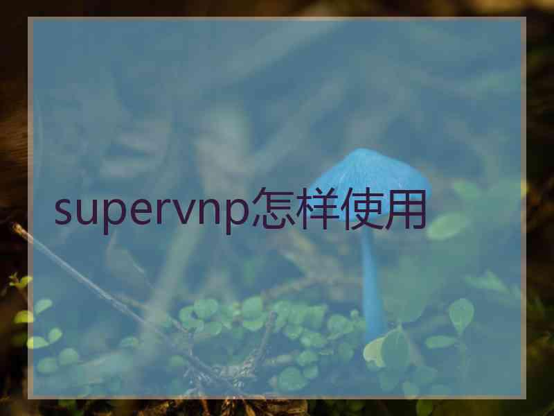 supervnp怎样使用