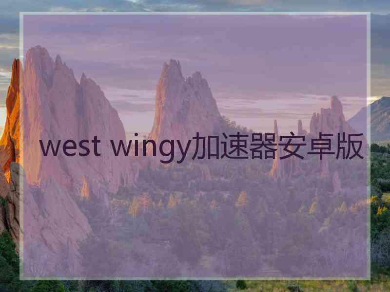 west wingy加速器安卓版