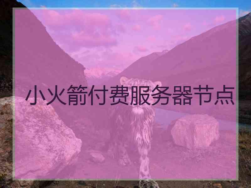 小火箭付费服务器节点