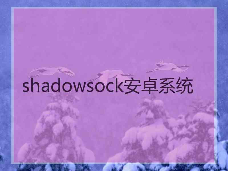 shadowsock安卓系统